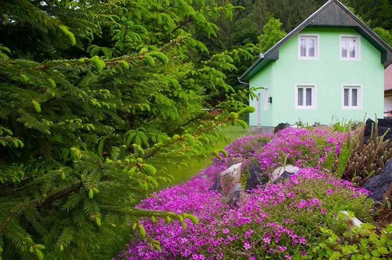 Pataki Kulcsoshaz Villa Izvoare  Buitenkant foto